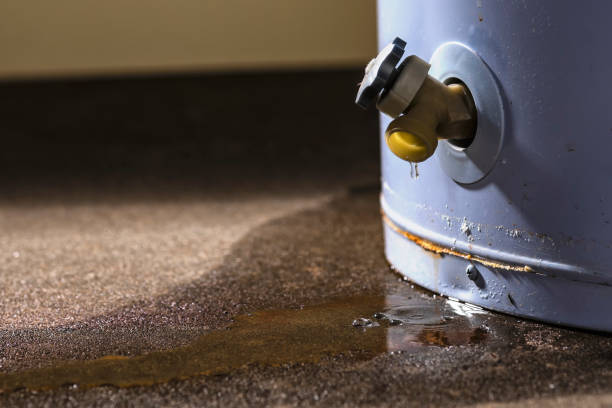 Best Flood restoration services  in Unionville, MO