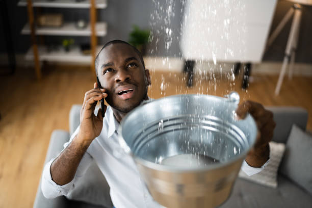 Best Professional water damage repair  in Unionville, MO