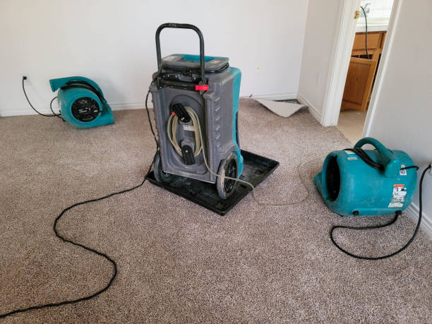 Best Sewage cleanup and water damage restoration  in Unionville, MO