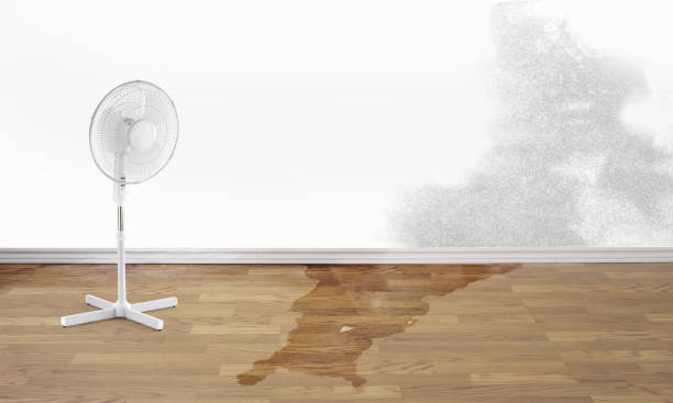 Best Water damage restoration near me  in Unionville, MO