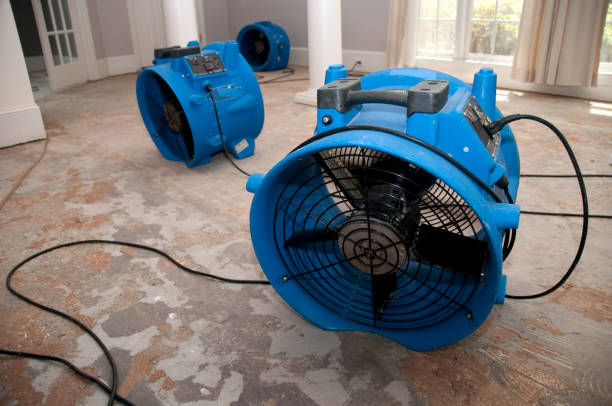 Best Water damage restoration near me  in Unionville, MO