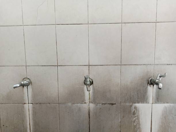 Best Basement water damage restoration  in Unionville, MO