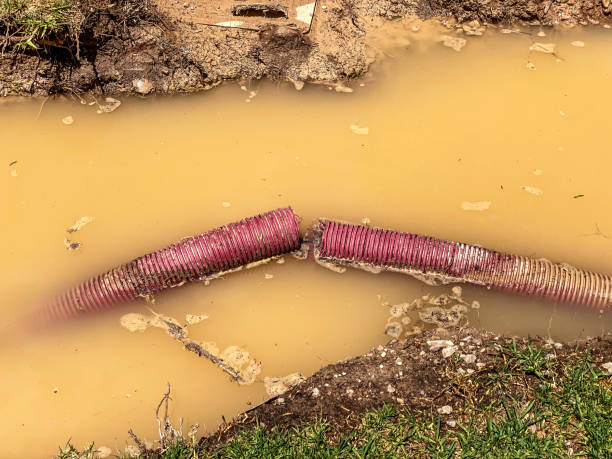 Best Mold removal after water damage  in Unionville, MO