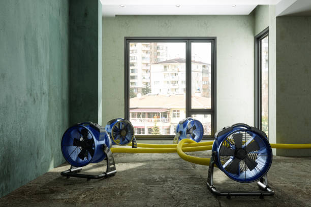 Trusted Unionville, MO Water damage restoration Experts