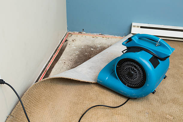 Best Fire Damage Restoration  in Unionville, MO