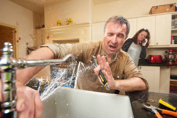 Best Water damage cleanup near me  in Unionville, MO